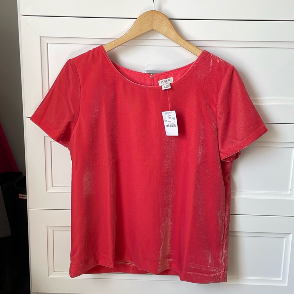 NWT Coral/Pink Velvet Top